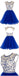 Sexy Open back Royal Blue Short Tulle homecoming prom dresses, CM0008